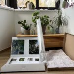 Exposition de Trifolium Hybridum