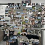 Mur de travail, cartographie, Trifolium Hybridum