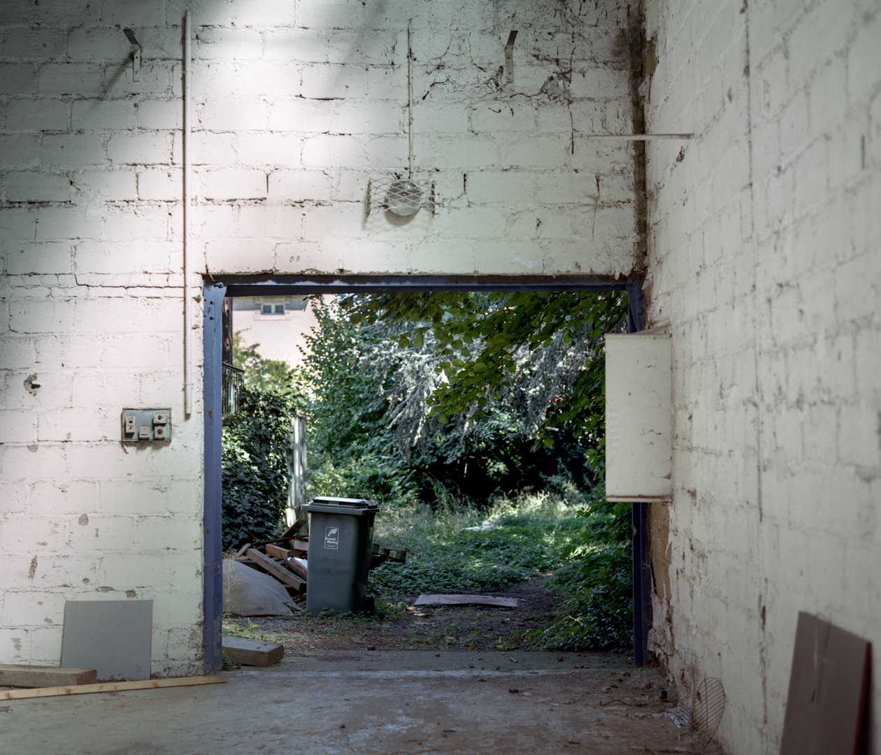 Entrée d'un squat, entre friche industrielle et nature