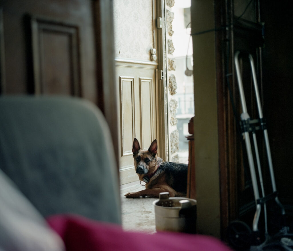 Photographie de Sutlane, un berger Allemand à l'entrée d'un squat, issu du projet ZONE 54