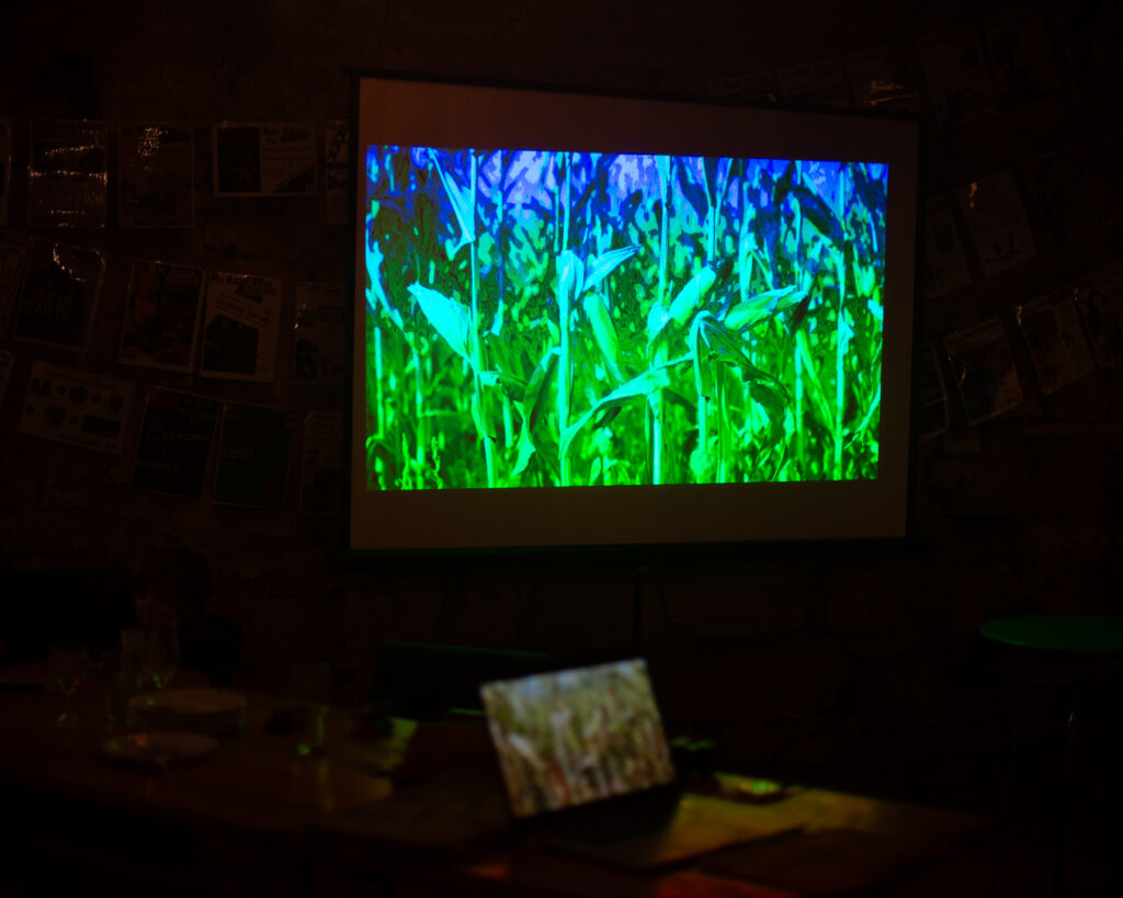 vidéoprojection du projet aux habitant.e.s, Au pied de mon arbre