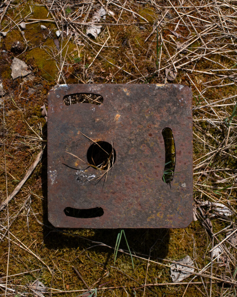 Plaque métallique rouillée au sol recouverte de végétation, objet industriel abandonné, trace discrète du passé dans le paysage naturel.