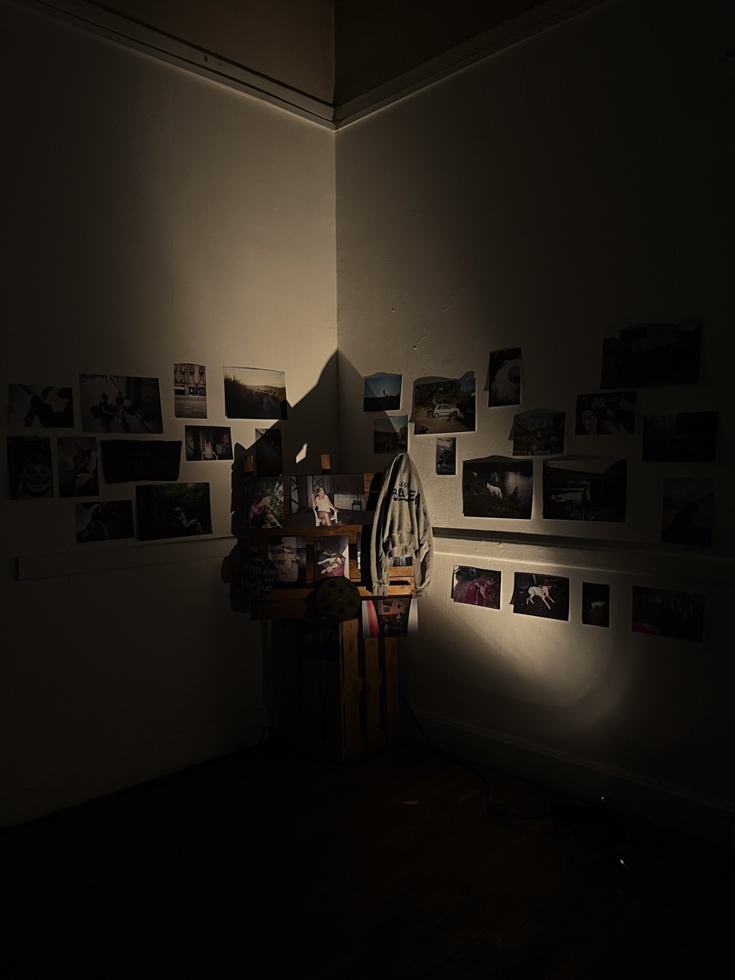 Vue de l'exposition ZONE 54 : I Love You Fuck Off, Festival Barlos, 2024
