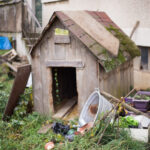 Niche du chien, ressemble à une petite maison