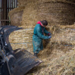 Jeune paysans en combinaison et chaussures de travail, debout sur de la paille et dans une zone de stockage ; machine agricole visible à gauche et meule/paillage au sol, scène de travail lié au fourrage et à l’alimentation animale.