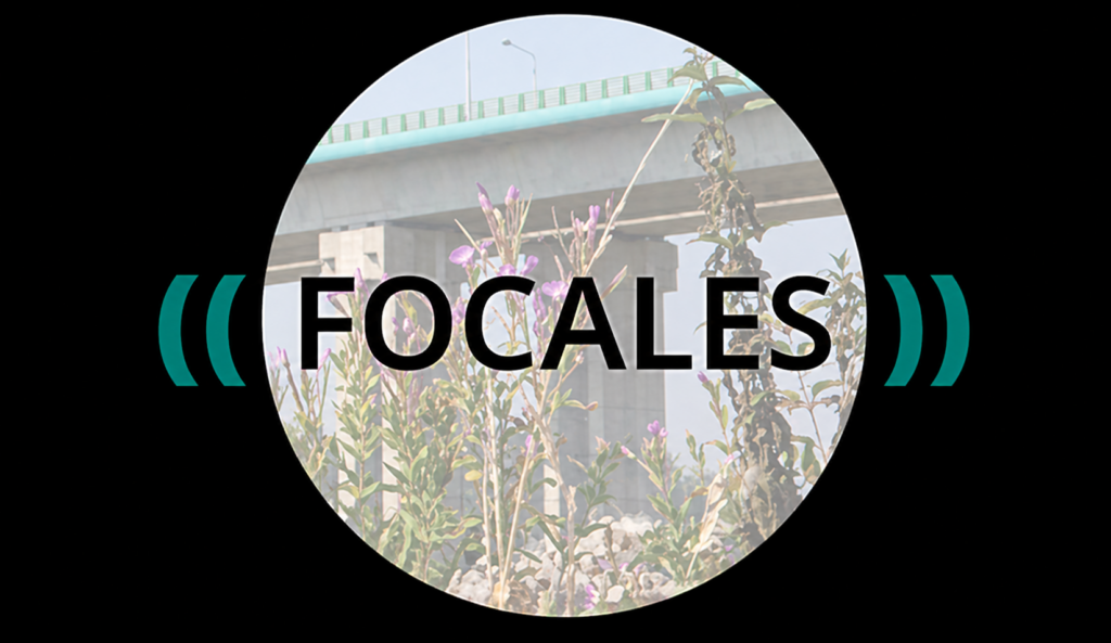 Logo de la revue focale