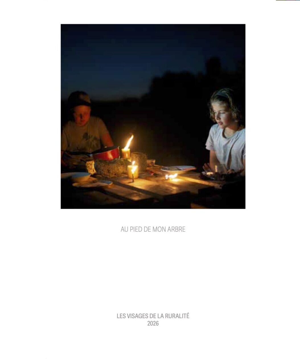 Couverture "Au pied de mon arbre"